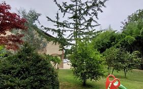 Istanti - Rosmarino